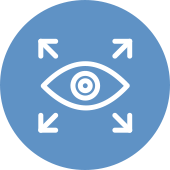 Vision